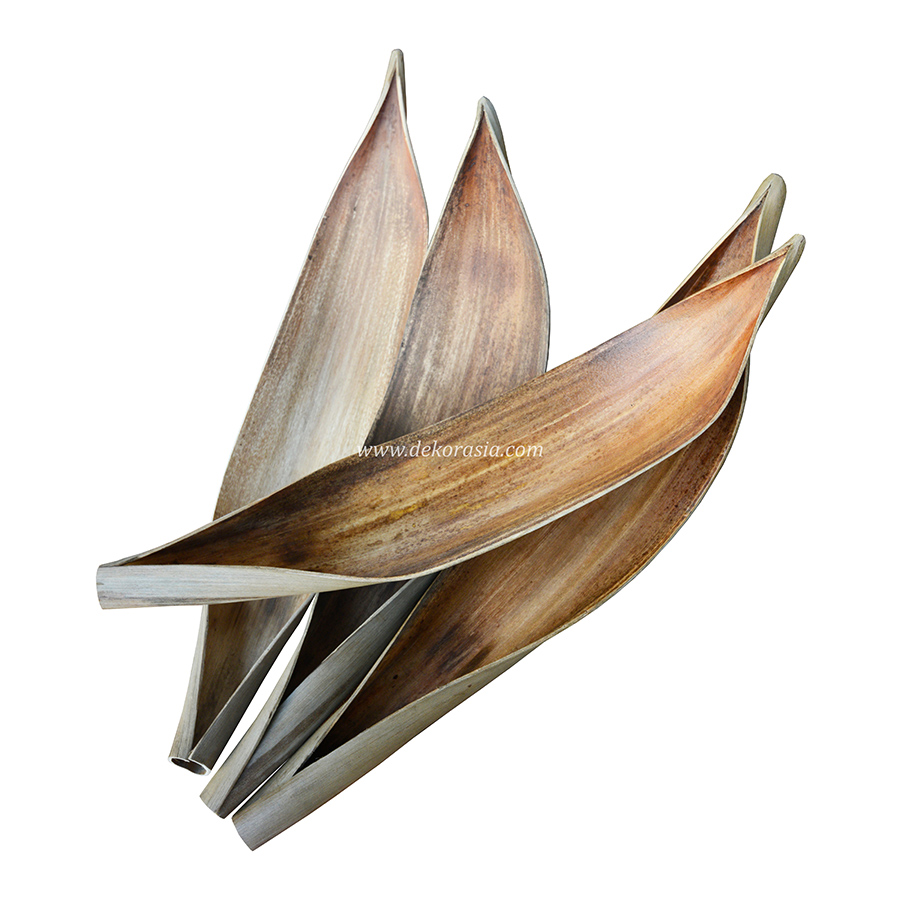 Coconut Leaf 1 Coconut Leaf
