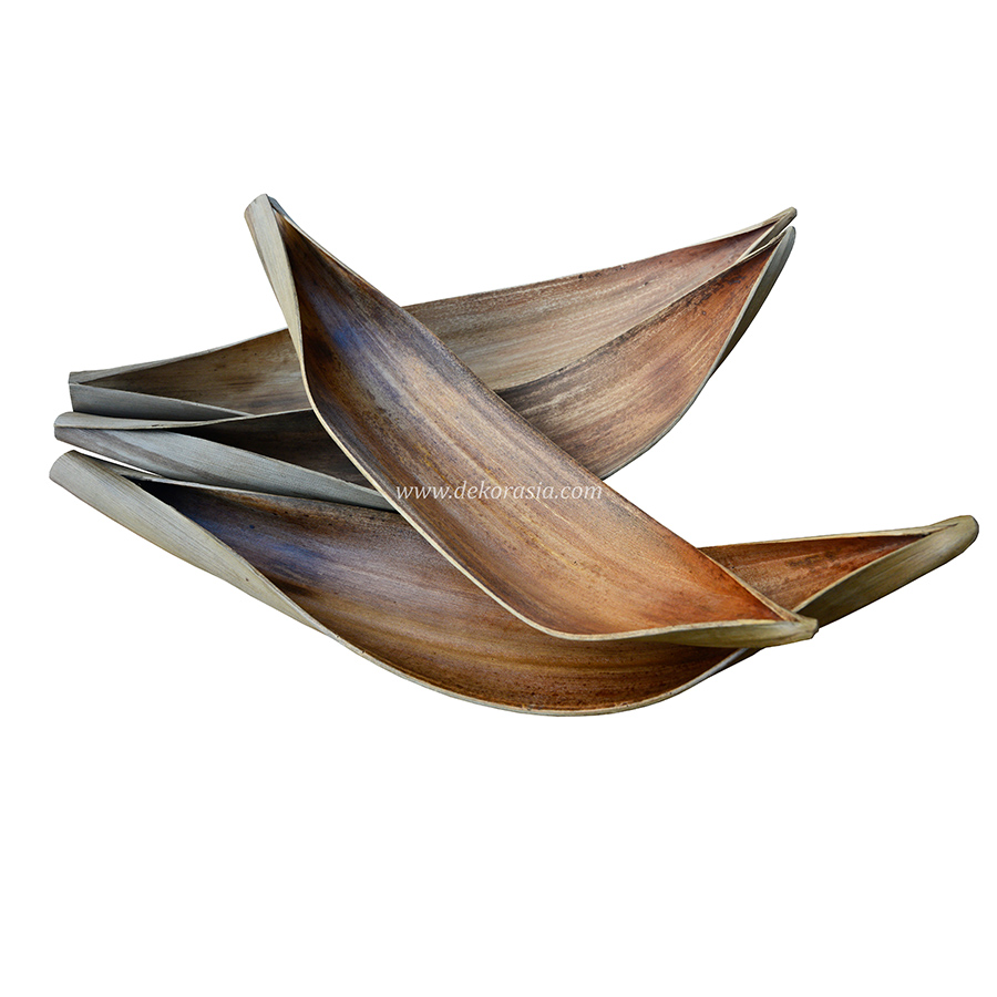 Coconut Leaf 2 Coconut Leaf