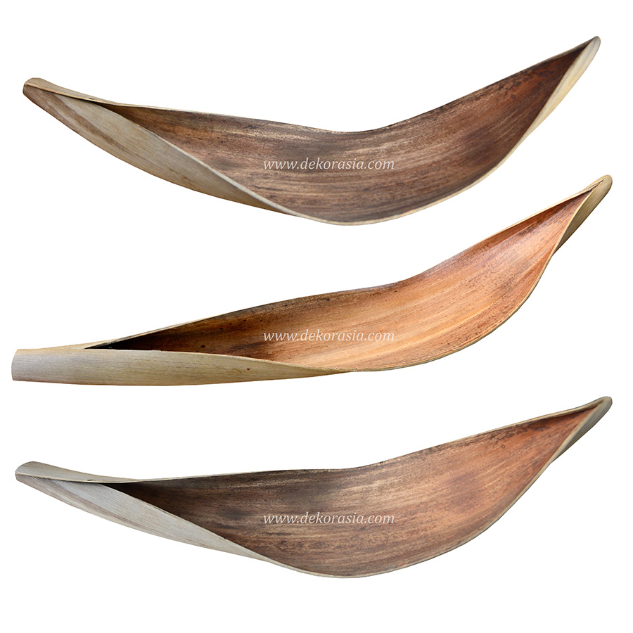 Coconut Leaf 4 Coconut Leaf