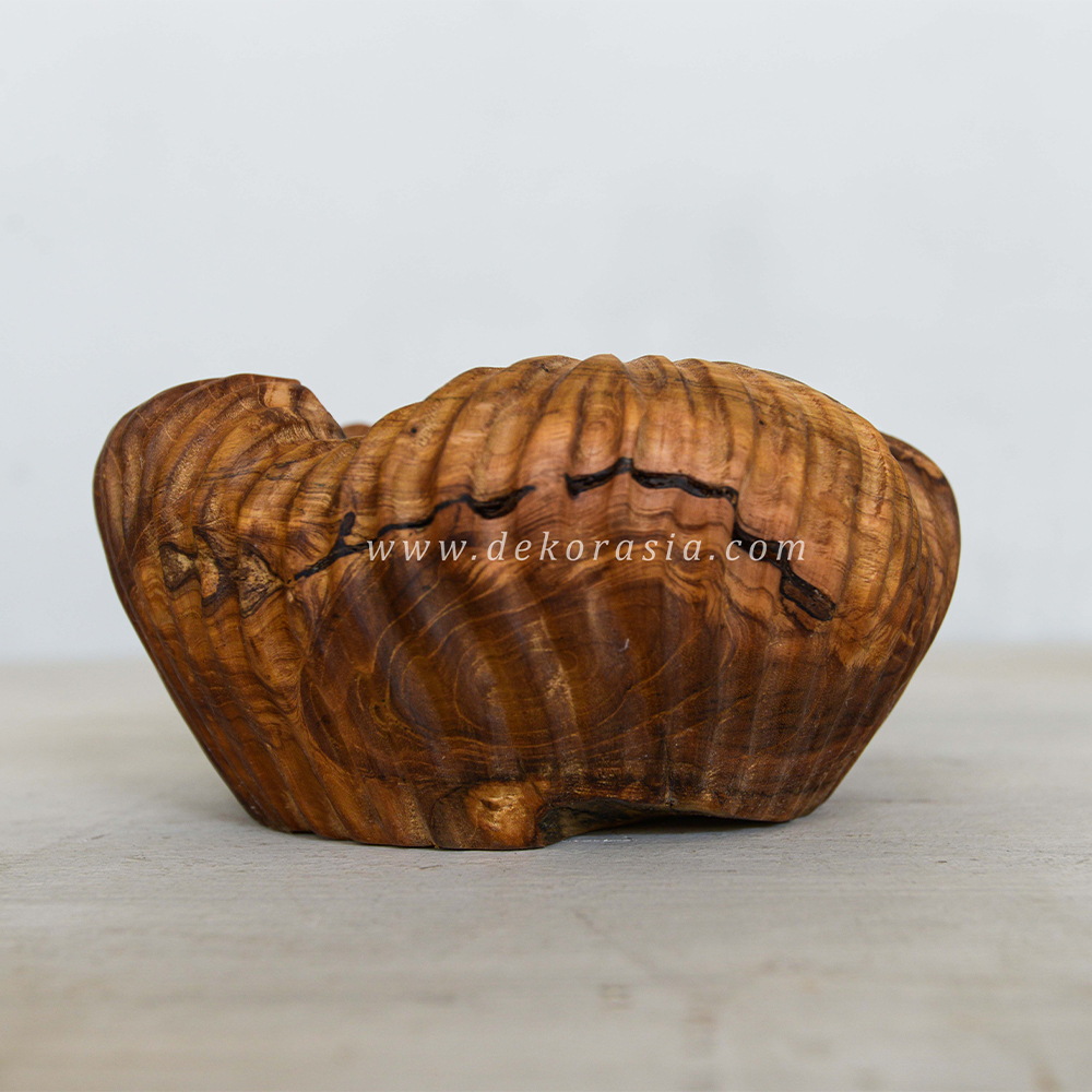 Unique Wooden Bowl (4) Unique Wooden Bowl
